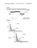 DETECTION OF NUCLEIC ACID LESIONS AND ADDUCTS USING NANOPORES diagram and image