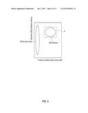 METHOD OF DETECTING FILARIAL LARVAE IN BLOOD, BLOOD ANALYZER, AND     NON-TRANSITORY COMPUTER-READABLE STORAGE MEDIUM diagram and image