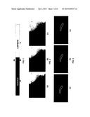 MOLECULAR DISCRIMINATORS USING CARBON NANOTUBES diagram and image