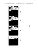 MOLECULAR DISCRIMINATORS USING CARBON NANOTUBES diagram and image