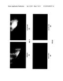 MOLECULAR DISCRIMINATORS USING CARBON NANOTUBES diagram and image