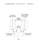 ENHANCED MAX MARGIN LEARNING ON MULTIMODAL DATA MINING IN A MULTIMEDIA     DATABASE diagram and image