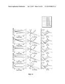 ANODE MATERIALS FOR LI-ION BATTERIES diagram and image