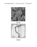 ANODE MATERIALS FOR LI-ION BATTERIES diagram and image