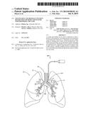 NON-INVASIVE AND MINIMALLY INVASIVE DENERVATION METHODS AND SYSTEMS FOR     PERFORMING THE SAME diagram and image