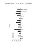 FILAGGRIN GENE EXPRESSION PROMOTER diagram and image