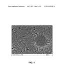 POLYMERIC NANOPARTICLES IN A THERMOSENSITIVE GEL FOR COITAL-INDEPENDENT     VAGINAL PROPHYLAXIS OF HIV diagram and image