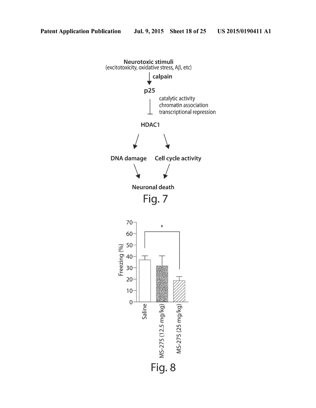 ACTIVATION OF HISTONE DEACETYLASE 1 (HDAC1) PROTECTS AGAINST DNA DAMAGE     AND INCREASES NEURONAL SURVIVAL - diagram, schematic, and image 19