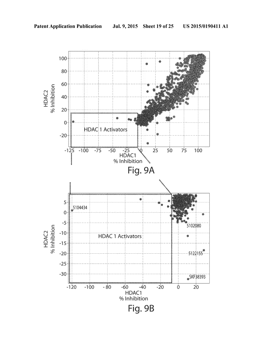 ACTIVATION OF HISTONE DEACETYLASE 1 (HDAC1) PROTECTS AGAINST DNA DAMAGE     AND INCREASES NEURONAL SURVIVAL - diagram, schematic, and image 20