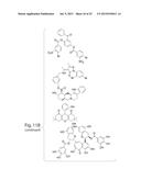 ACTIVATION OF HISTONE DEACETYLASE 1 (HDAC1) PROTECTS AGAINST DNA DAMAGE     AND INCREASES NEURONAL SURVIVAL diagram and image