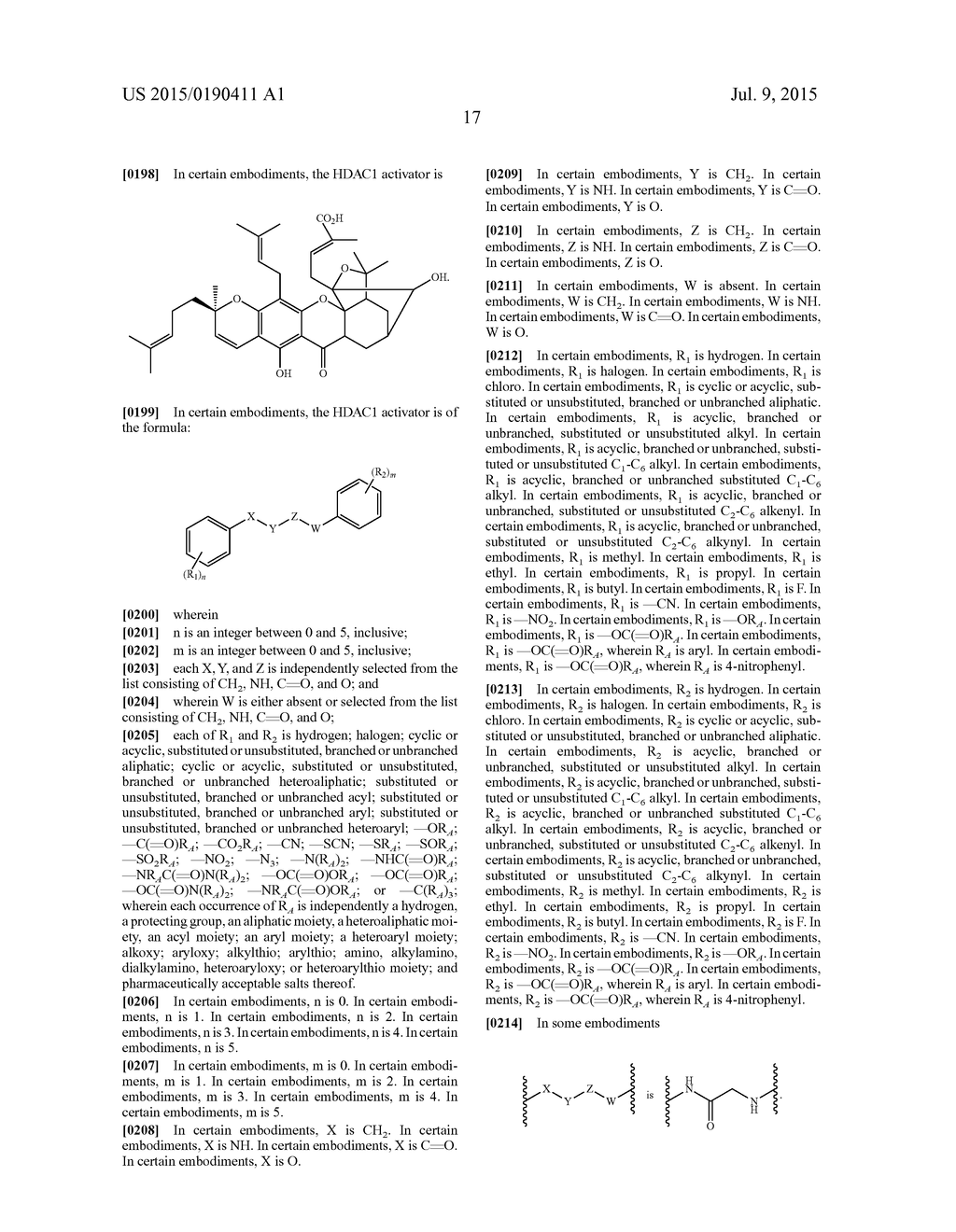 ACTIVATION OF HISTONE DEACETYLASE 1 (HDAC1) PROTECTS AGAINST DNA DAMAGE     AND INCREASES NEURONAL SURVIVAL - diagram, schematic, and image 43