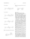 ACTIVATION OF HISTONE DEACETYLASE 1 (HDAC1) PROTECTS AGAINST DNA DAMAGE     AND INCREASES NEURONAL SURVIVAL diagram and image