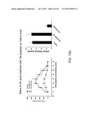 Method Of Reducing Injury To Mammalian Cells diagram and image