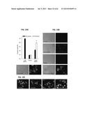 Method Of Reducing Injury To Mammalian Cells diagram and image