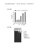 Method Of Reducing Injury To Mammalian Cells diagram and image