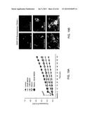 Method Of Reducing Injury To Mammalian Cells diagram and image