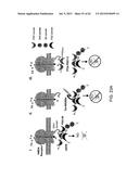 Method Of Reducing Injury To Mammalian Cells diagram and image