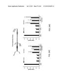 Method Of Reducing Injury To Mammalian Cells diagram and image