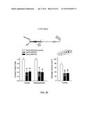 Method Of Reducing Injury To Mammalian Cells diagram and image