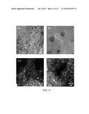 POROUS POLYMER NETWORKS AND ION-EXCHANGE MEDIA AND METAL-POLYMER     COMPOSITES MADE THEREFROM diagram and image