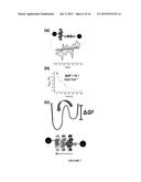 CRYSTALLINE BIPYRIDINIUM RADICAL COMPLEXES AND USES THEREOF diagram and image