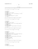 NOVEL SODIUM CHANNEL BLOCKING PEPTIDES AND THE USE THEREOF diagram and image