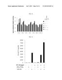 COMPOSITION INCLUDING GELSOLIN AS EFFECTIVE INGREDIENT FOR INDUCING     DIFFERENTIATION INTO DENDRITIC CELL AND METHOD OF INDUCING     DIFFERENTIATION INTO DENDRITIC CELL diagram and image