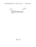 POXVIRUS-PLASMODIUM RECOMBINANTS, COMPOSITIONS CONTAINING SUCH     RECOMBINANTS, USES THEREOF, AND METHODS OF MAKING AND USING SAME diagram and image