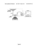 SYSTEMS AND METHODS TO DETECT BIOFILM STREAMER GROWTH AND THEIR USES diagram and image