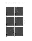 SYSTEMS AND METHODS TO DETECT BIOFILM STREAMER GROWTH AND THEIR USES diagram and image