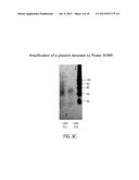 POLYMERIZATION OF NUCLEIC ACIDS USING ACTIVATION BY POLYPHOSPHOROLYSIS     (APP) REACTIONS diagram and image