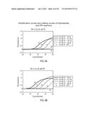 POLYMERIZATION OF NUCLEIC ACIDS USING ACTIVATION BY POLYPHOSPHOROLYSIS     (APP) REACTIONS diagram and image