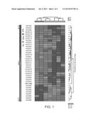 HOXC6 AND OVARIAN CANCER METHODS AND USES THEREOF diagram and image