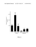 HOXC6 AND OVARIAN CANCER METHODS AND USES THEREOF diagram and image