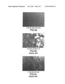 TITANIUM ALLOY HAVING GOOD OXIDATION RESISTANCE AND HIGH STRENGTH AT     ELEVATED TEMPERATURES diagram and image