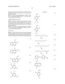 LITHOGRAPHIC PRINTING PLATE PRECURSOR AND PLATE MAKING METHOD diagram and image