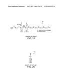 NFA BYTE DETECTOR diagram and image