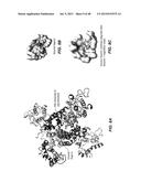 SYSTEMS AND METHODS OF SELECTING COMPOUNDS WITH REDUCED RISK OF     CARDIOTOXICITY diagram and image