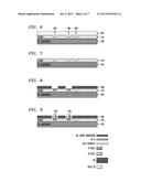 GRAPHENE DEVICES WITH LOCAL DUAL GATES diagram and image