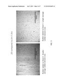 METHOD OF MAKING A RUBBER-CONTAINING POLYOLEFIN SEPARATOR diagram and image