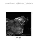 PLASMA SYNTHESIS OF METAL AND LITHIUM FLUORIDE NANOSTRUCTURES diagram and image