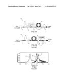 OPTIC FIBER AMPLIFIER HAVING A HIGH BRILLOUIN THRESHOLD AND METHOD FOR     MAKING SUCH AN AMPLIFIER diagram and image