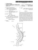 DEVICES AND METHODS FOR CORRECTING SPINAL DEFORMITIES diagram and image