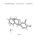 FORMULATIONS, SALTS AND POLYMORPHS OF TRANSNORSERTRALINE AND USES THEREOF diagram and image