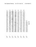 Metal Sensitive Mutants of Matrix Metalloproteases and uses thereof diagram and image