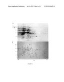 Immunogenic Compositions Of Staphylococcus Epidermidis Polypeptide     Antigens diagram and image