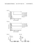 RIFT VALLEY FEVER VIRUS REPLICON PARTICLES AND USE THEREOF diagram and image