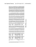 SYSTEMS, METHODS AND COMPOSITIONS FOR IMPROVED TREATMENT OF ACIDOSIS diagram and image