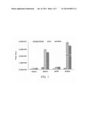 AUTOMATED MICROEXTRACTION TECHNIQUE FOR THE ANALYSIS OF N-NITROSOAMINES IN     WATER diagram and image