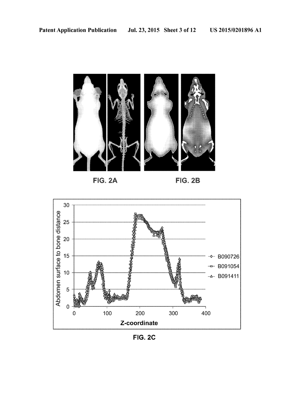 METHOD AND SYSTEM FOR AUTOMATED DETECTION OF TISSUE INTERIOR TO A     MAMMALIAN RIBCAGE FROM AN IN VIVO IMAGE - diagram, schematic, and image 04